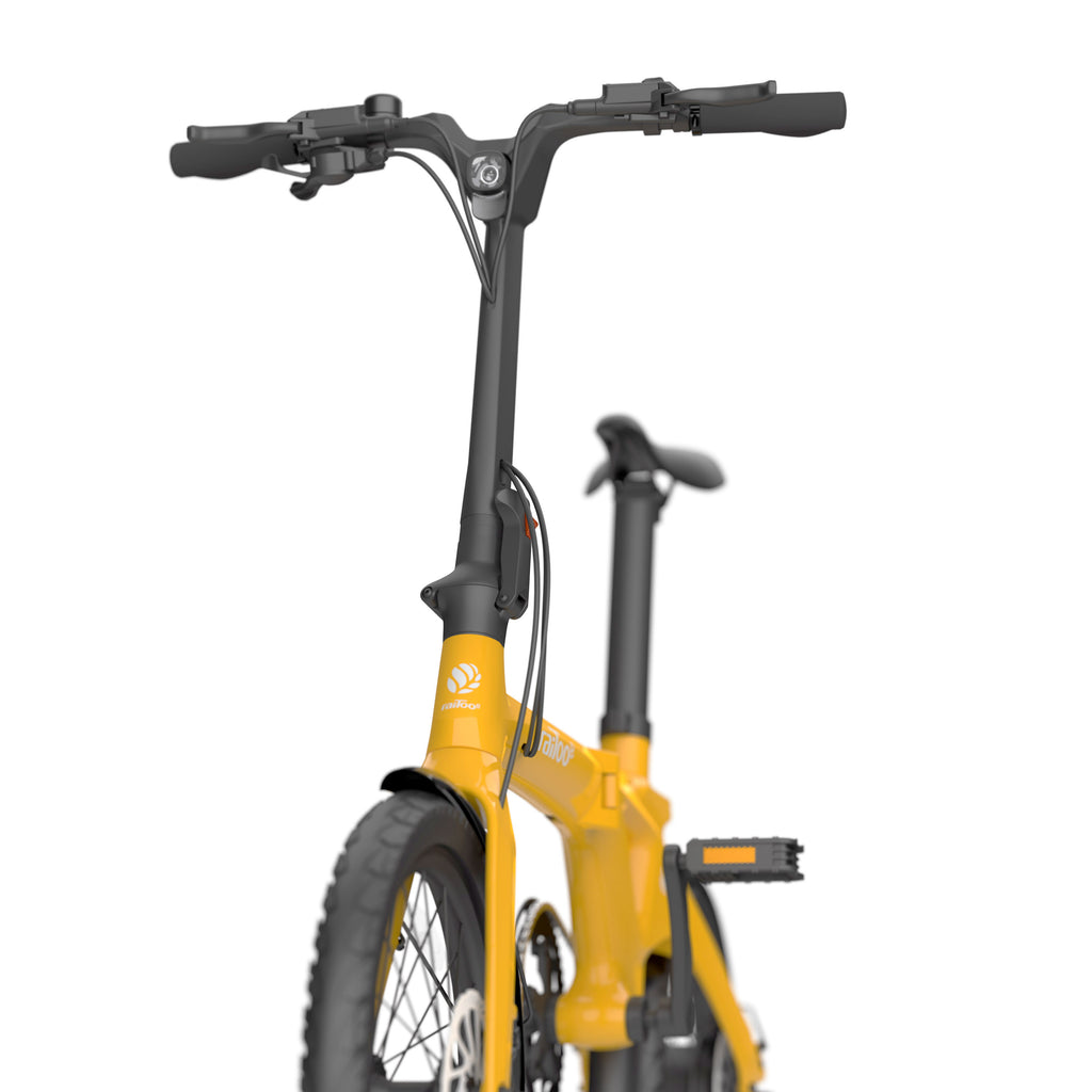 Arua H-C18